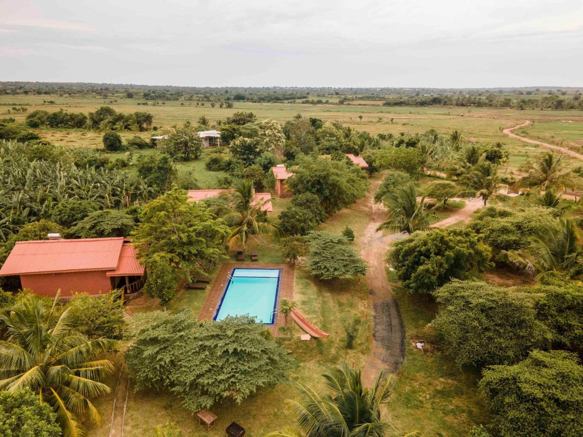 Yala Peace Cottages Tissamaharama Esterno foto