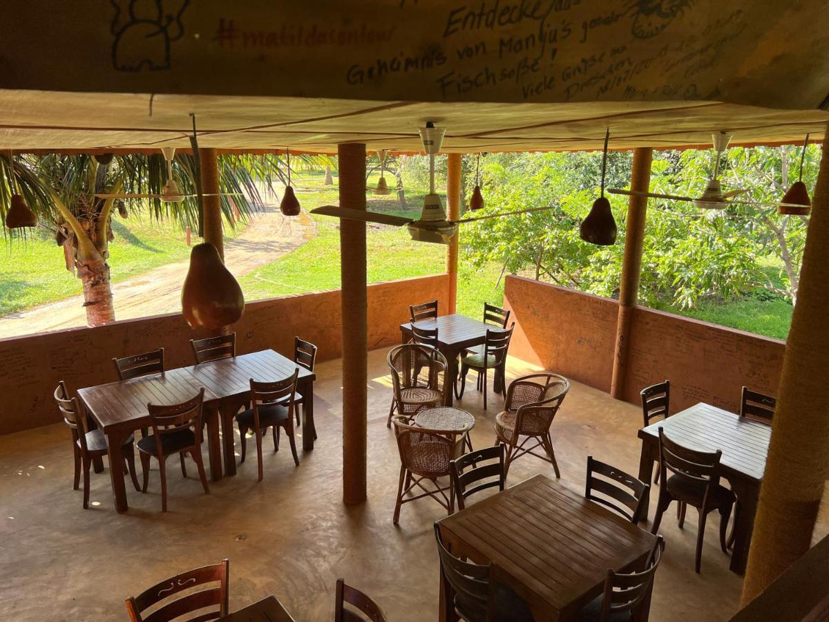 Yala Peace Cottages Tissamaharama Esterno foto