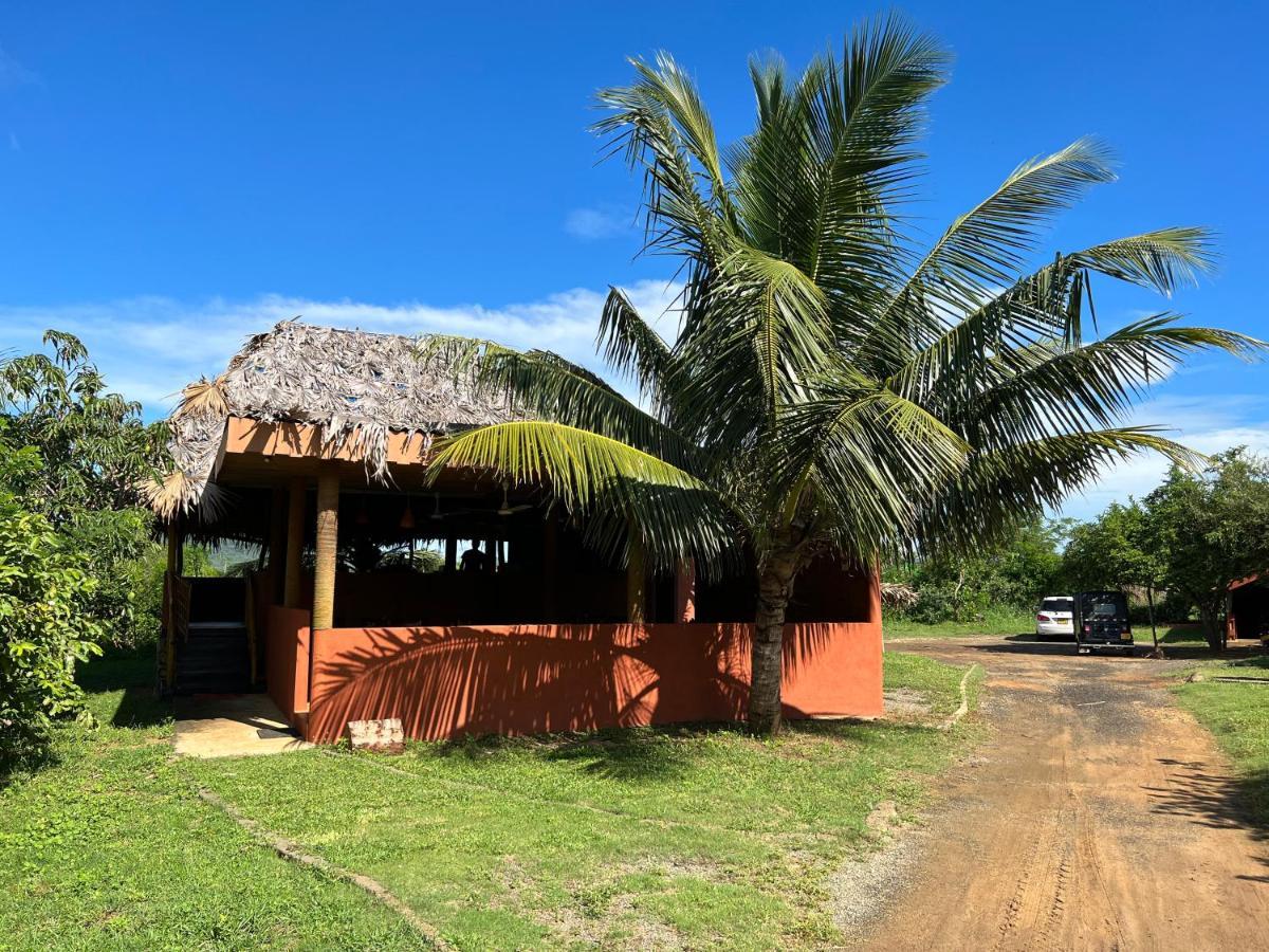 Yala Peace Cottages Tissamaharama Esterno foto