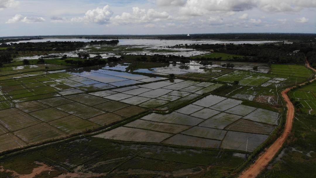 Yala Peace Cottages Tissamaharama Esterno foto