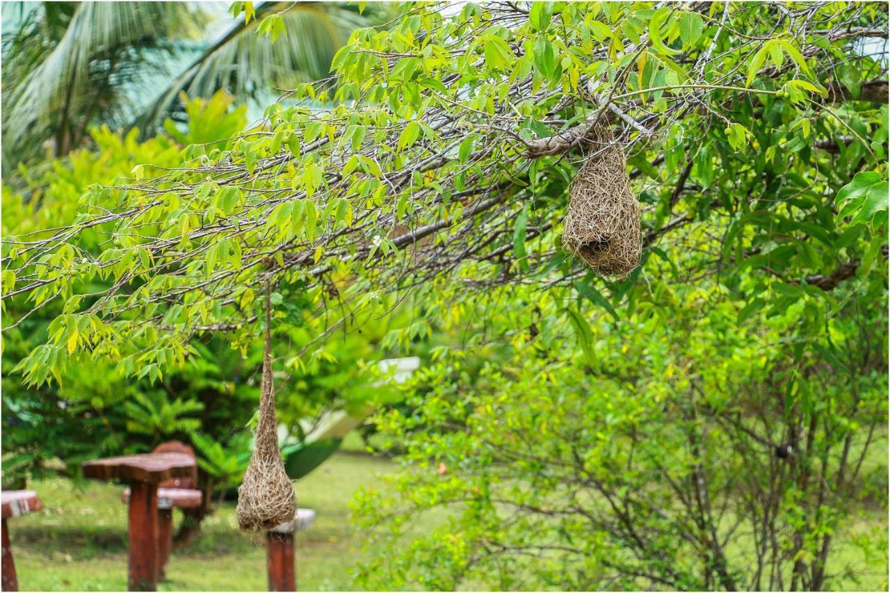 Yala Peace Cottages Tissamaharama Esterno foto