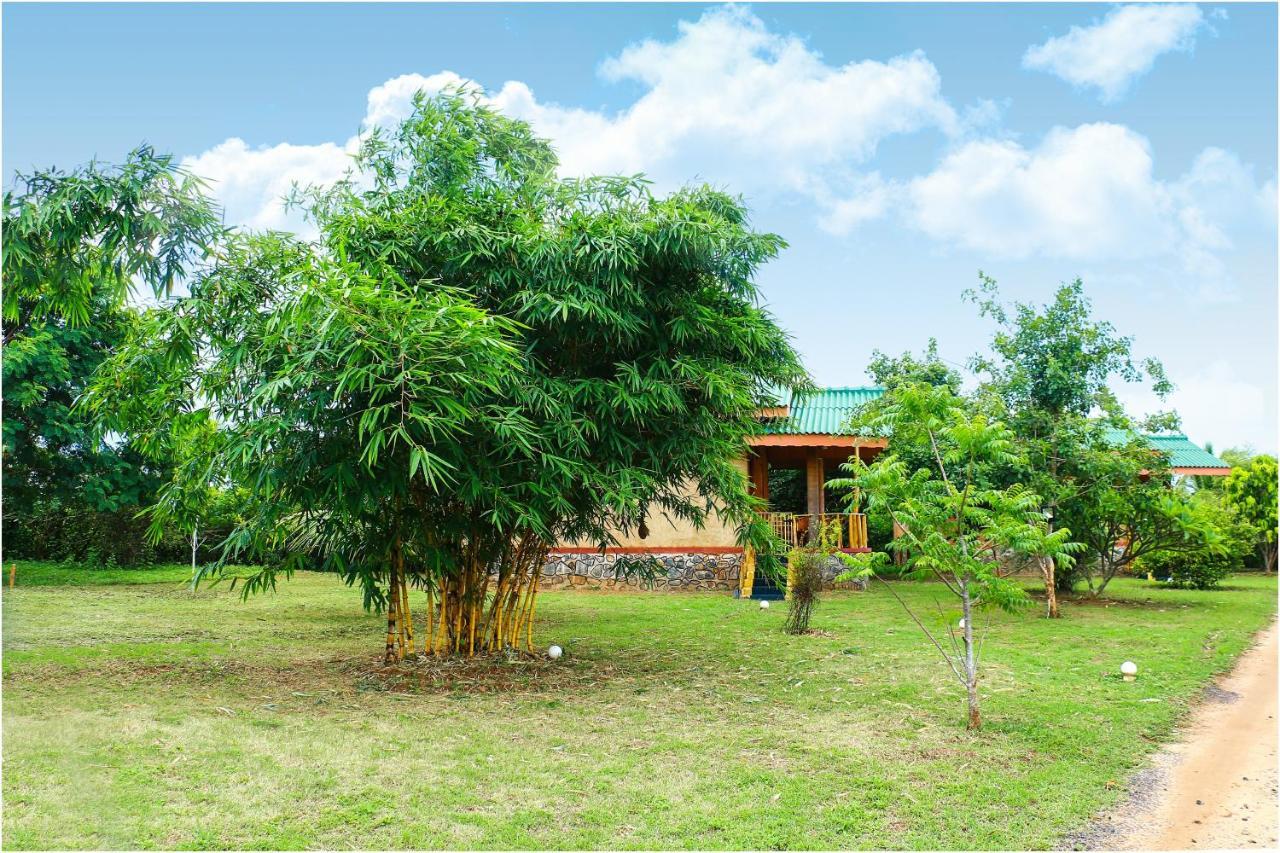 Yala Peace Cottages Tissamaharama Esterno foto