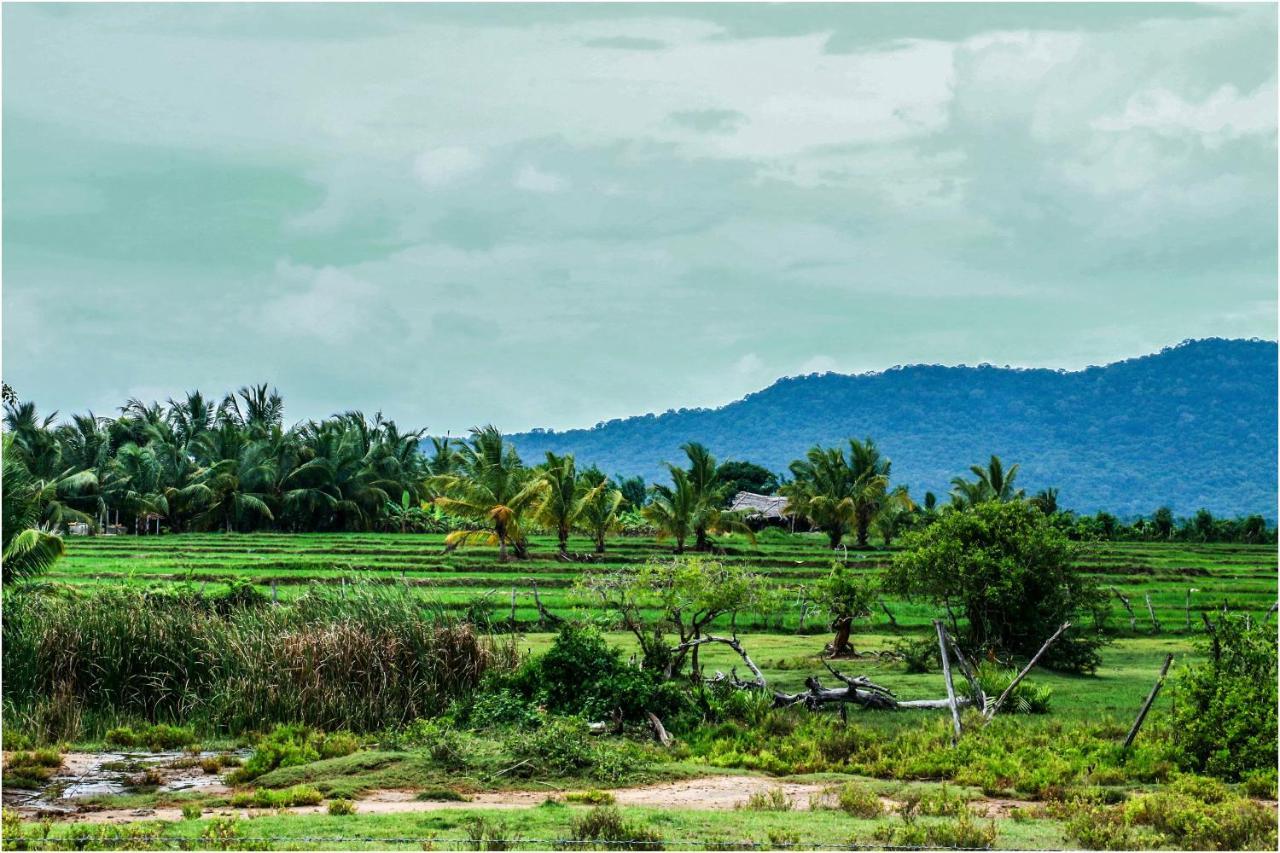 Yala Peace Cottages Tissamaharama Esterno foto