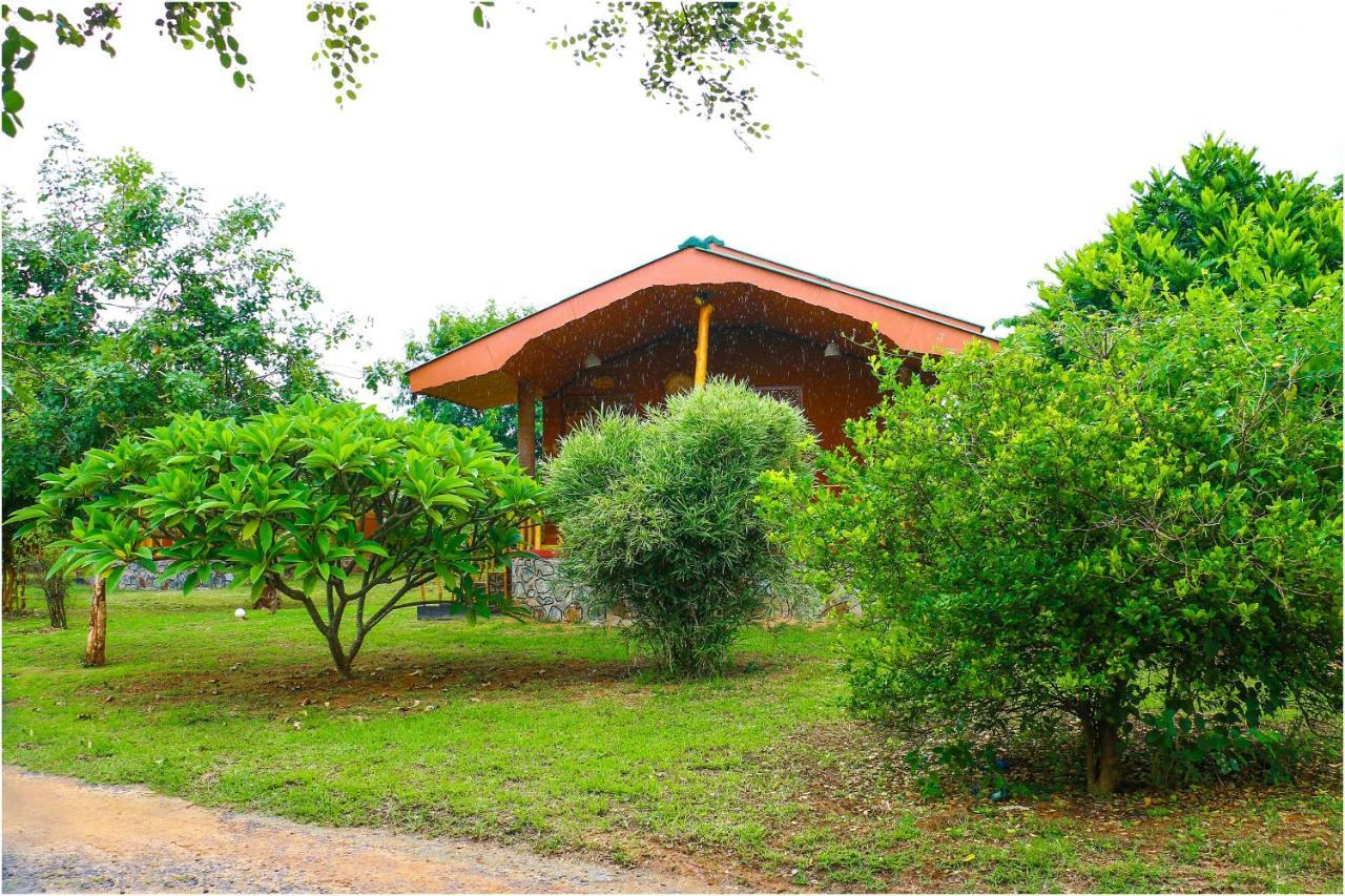 Yala Peace Cottages Tissamaharama Esterno foto