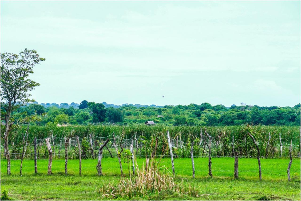 Yala Peace Cottages Tissamaharama Esterno foto